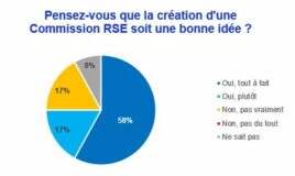 Pensez-vous que la création d'une Commission RSE soit une bonne idée ?